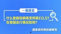 亚洲-国精产品一三三区,探索区域特色与创新发展